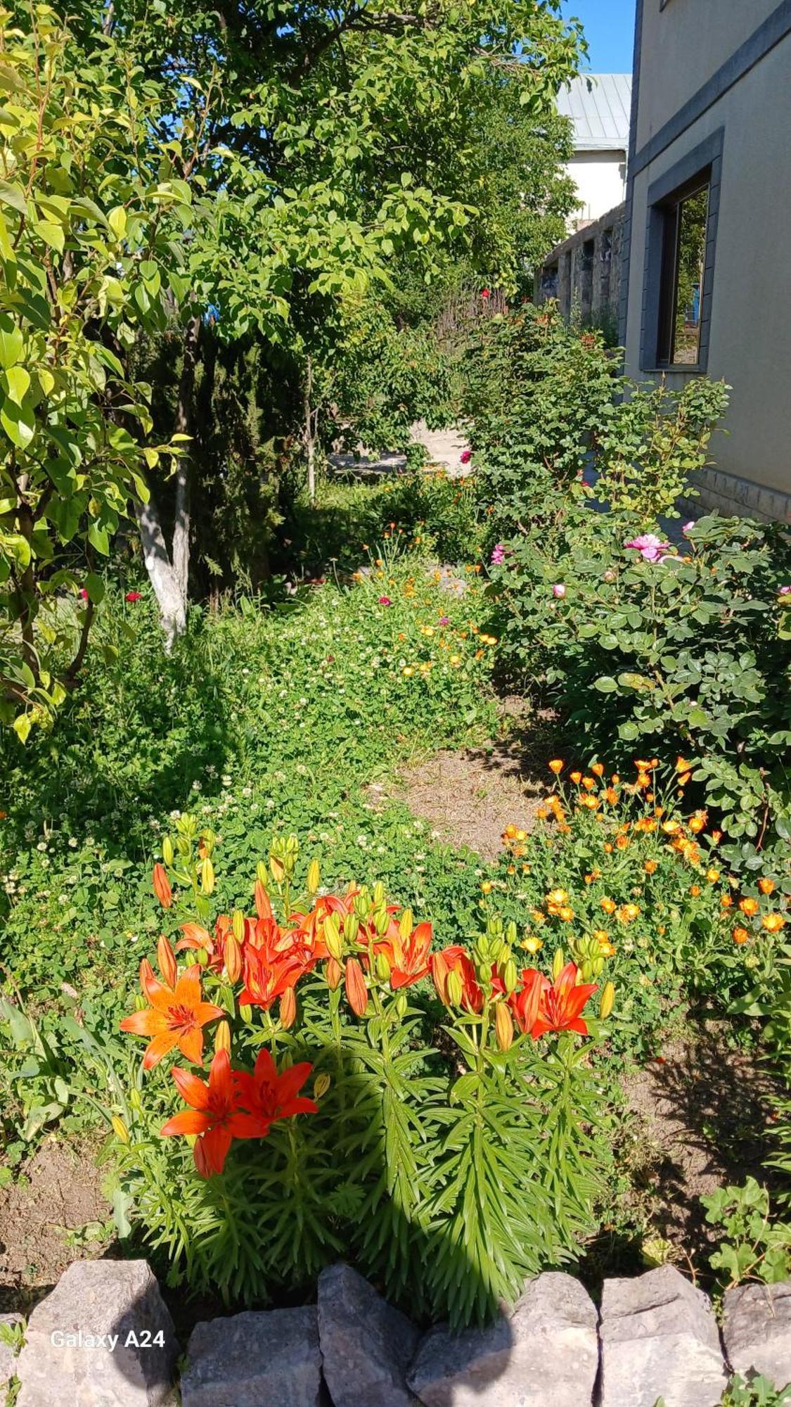Green Dilijan B&B Exterior photo