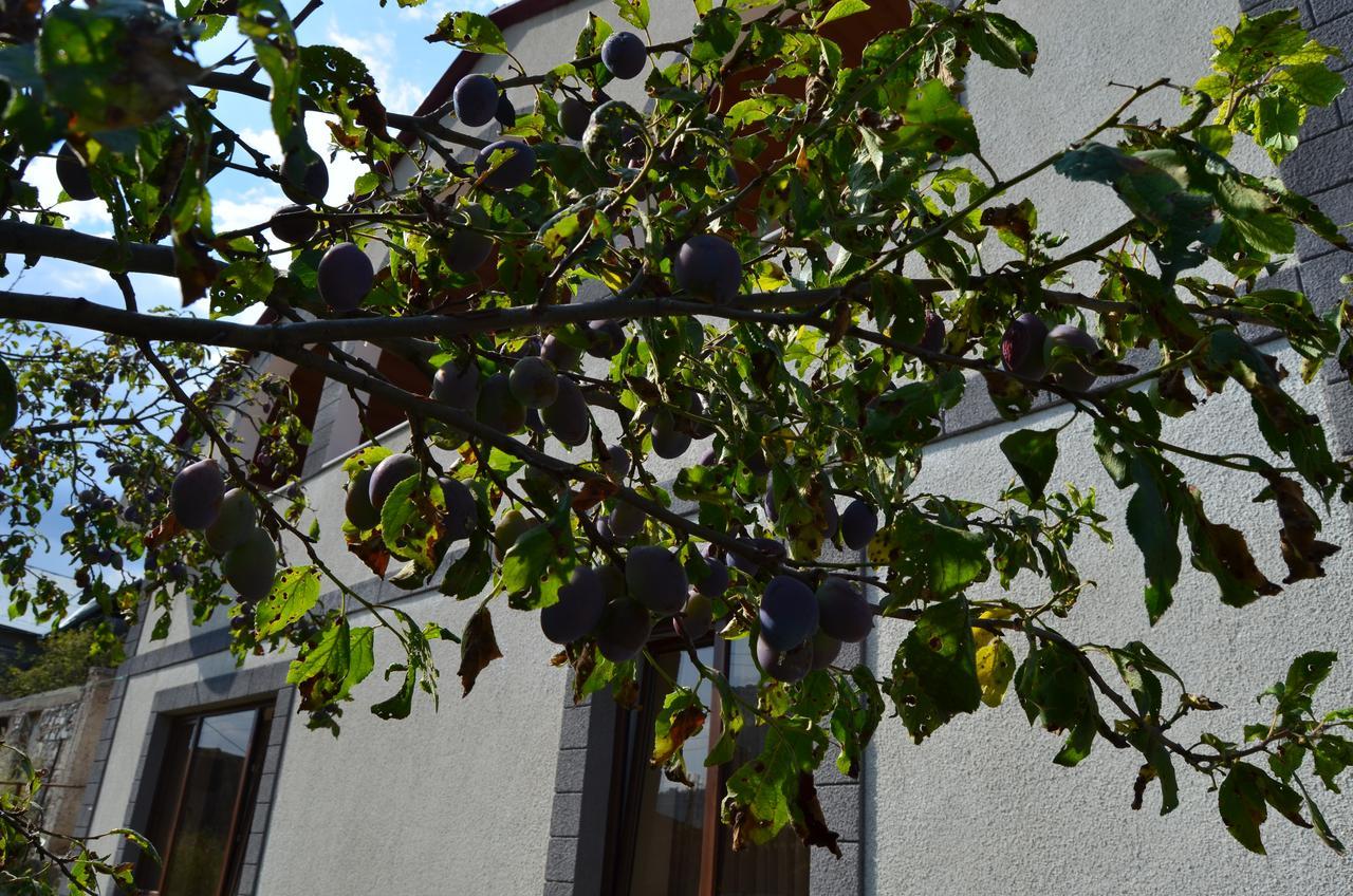 Green Dilijan B&B Exterior photo